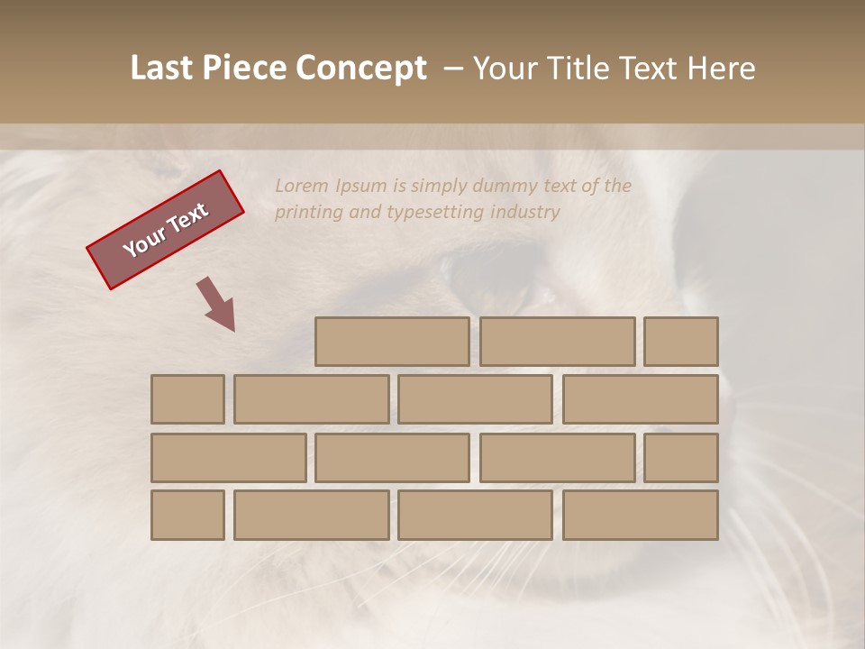 A Brown And White Cat Is Looking At Something PowerPoint Template