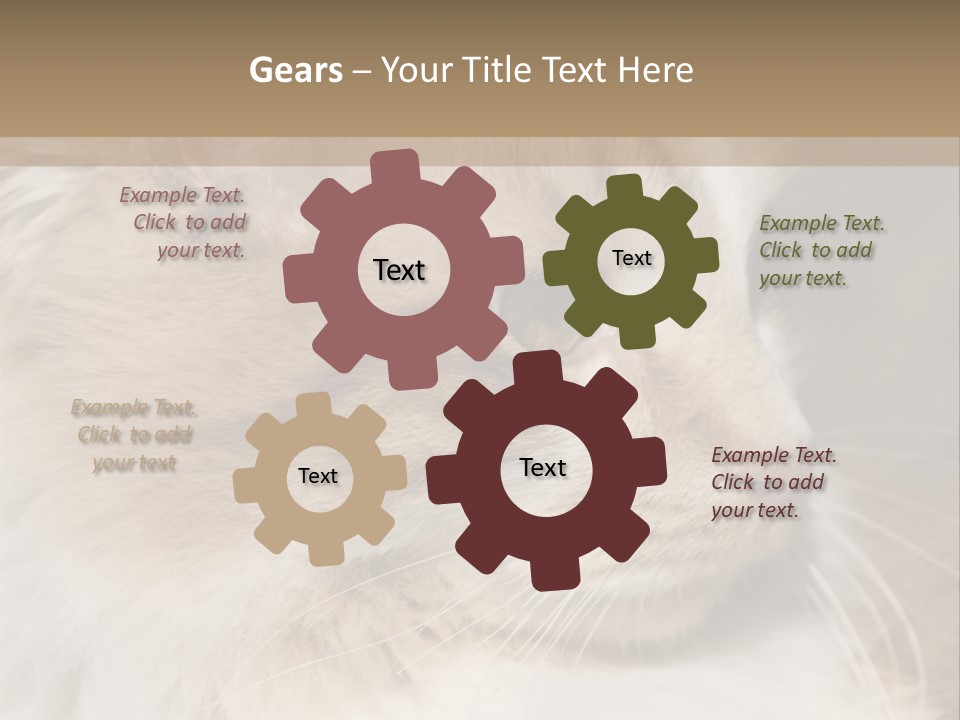 A Brown And White Cat Is Looking At Something PowerPoint Template