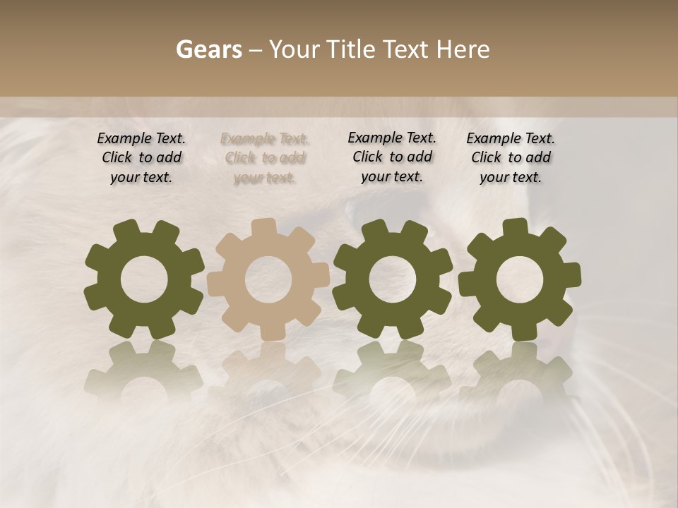 A Brown And White Cat Is Looking At Something PowerPoint Template