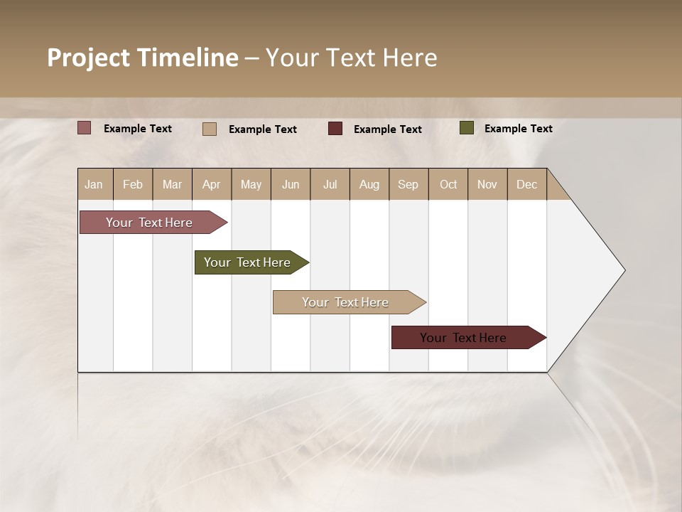 A Brown And White Cat Is Looking At Something PowerPoint Template