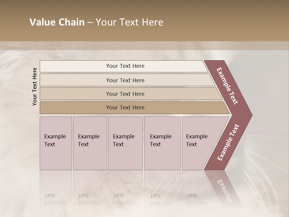 A Brown And White Cat Is Looking At Something PowerPoint Template