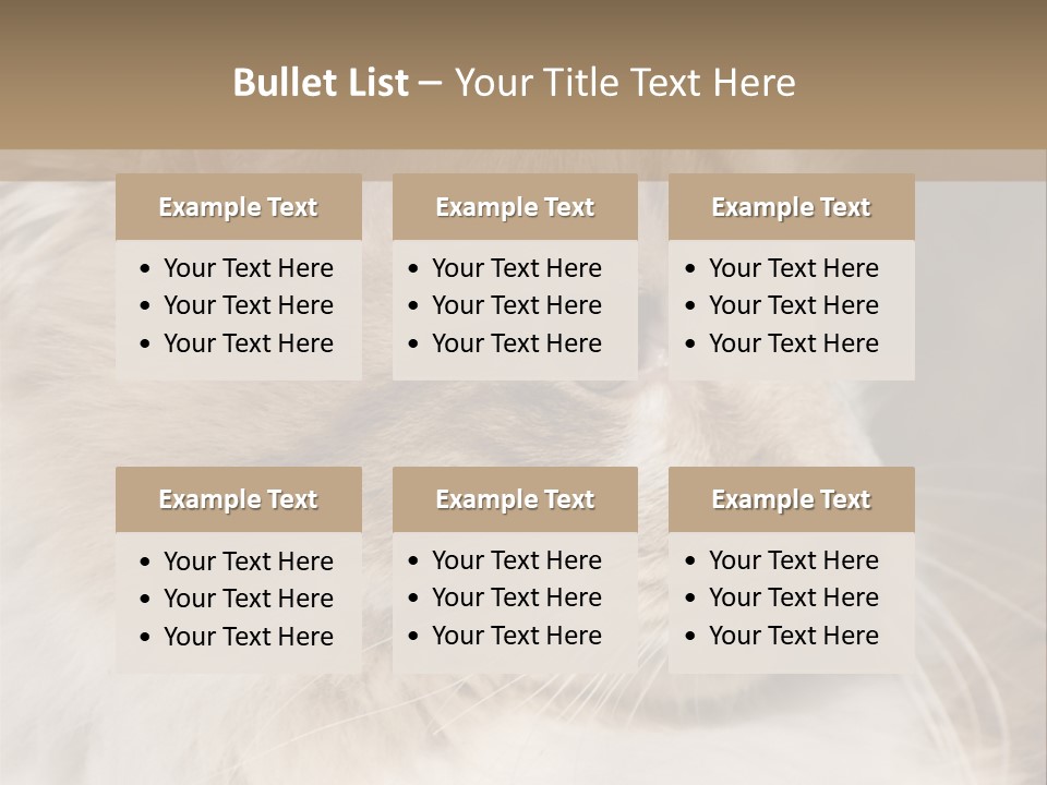 A Brown And White Cat Is Looking At Something PowerPoint Template