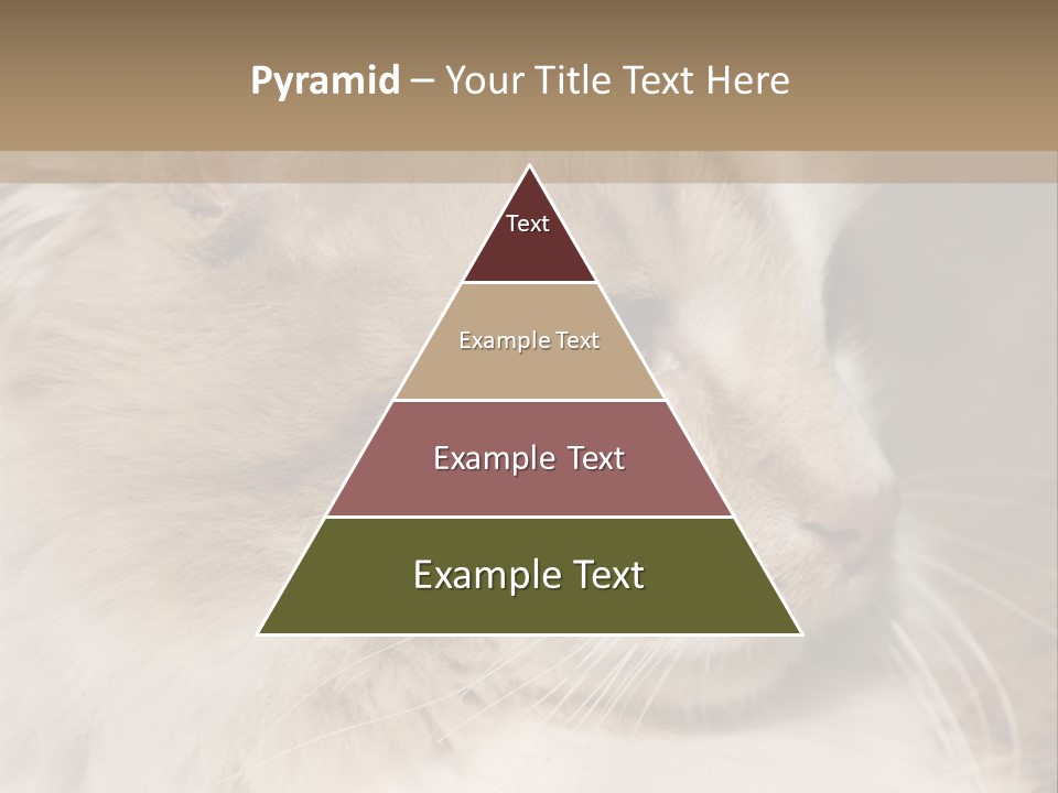 A Brown And White Cat Is Looking At Something PowerPoint Template