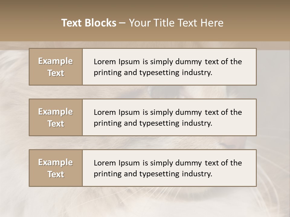 A Brown And White Cat Is Looking At Something PowerPoint Template