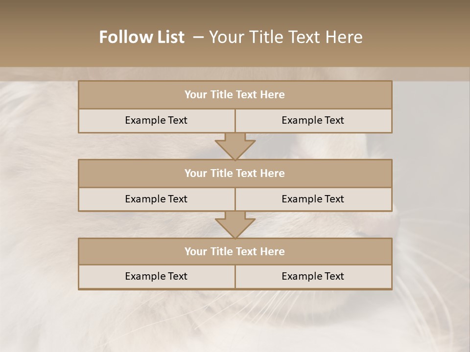 A Brown And White Cat Is Looking At Something PowerPoint Template
