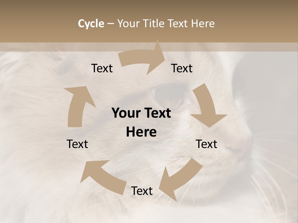 A Brown And White Cat Is Looking At Something PowerPoint Template