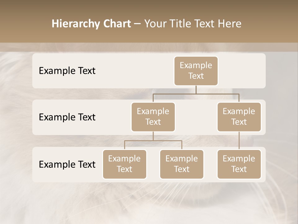A Brown And White Cat Is Looking At Something PowerPoint Template