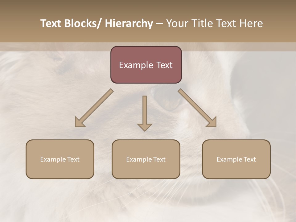 A Brown And White Cat Is Looking At Something PowerPoint Template