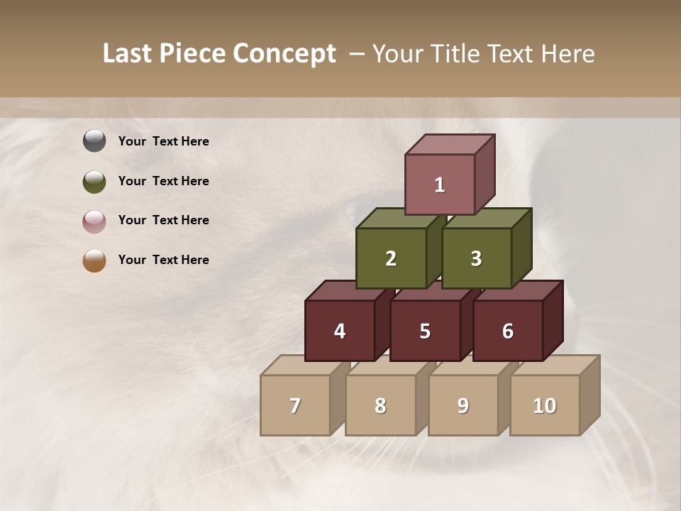 A Brown And White Cat Is Looking At Something PowerPoint Template