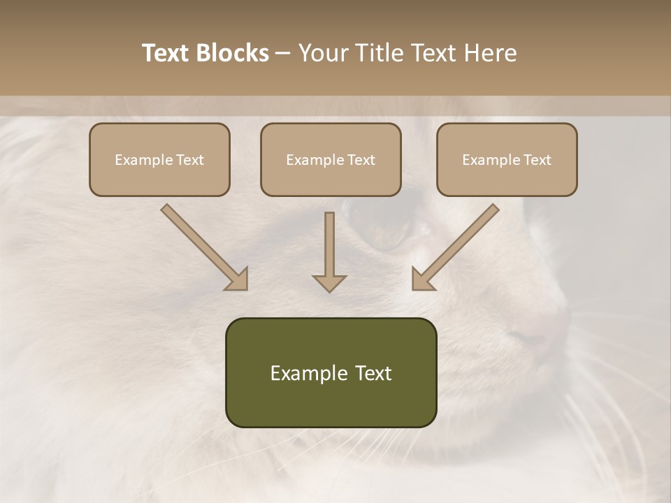 A Brown And White Cat Is Looking At Something PowerPoint Template
