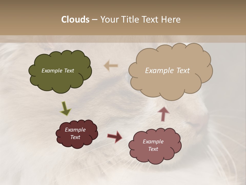 A Brown And White Cat Is Looking At Something PowerPoint Template