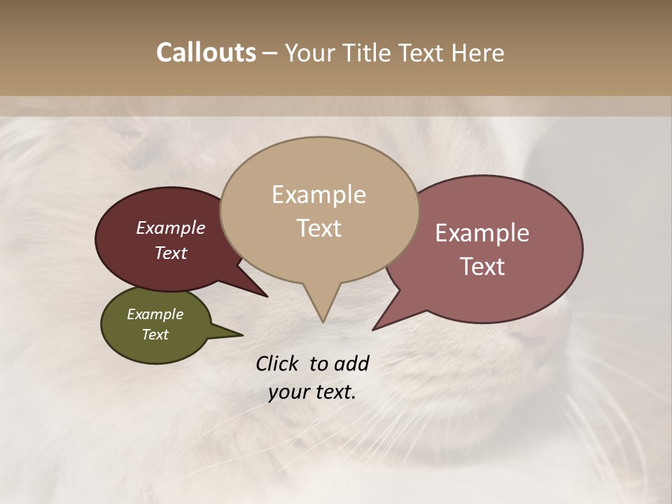 A Brown And White Cat Is Looking At Something PowerPoint Template