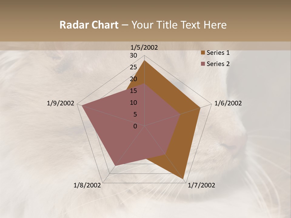 A Brown And White Cat Is Looking At Something PowerPoint Template