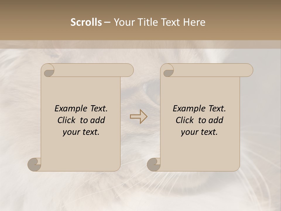 A Brown And White Cat Is Looking At Something PowerPoint Template