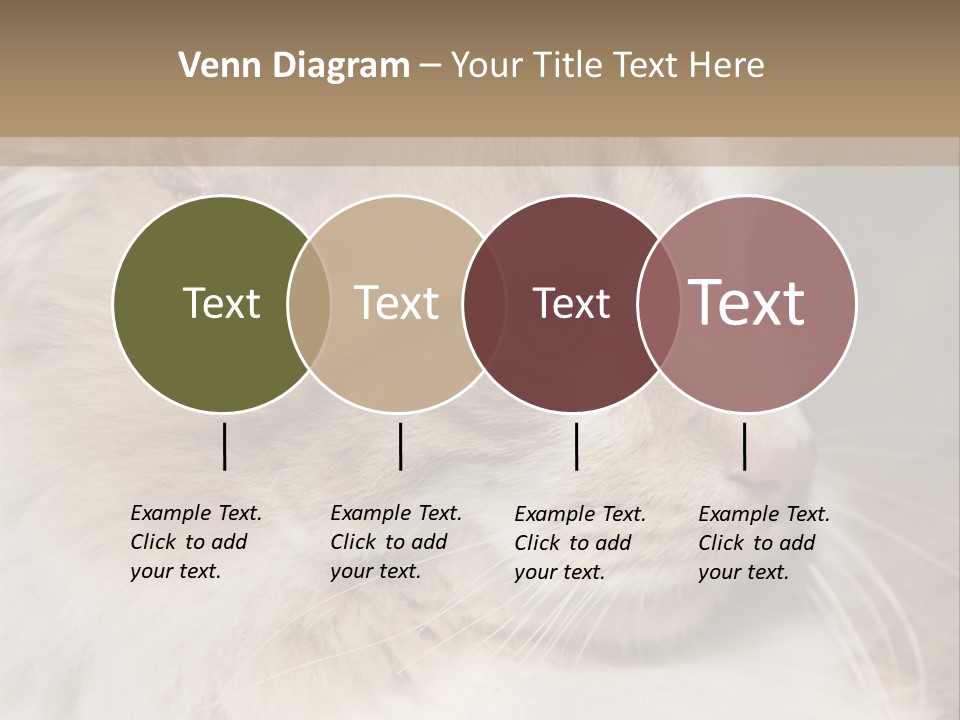A Brown And White Cat Is Looking At Something PowerPoint Template