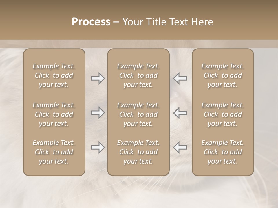 A Brown And White Cat Is Looking At Something PowerPoint Template