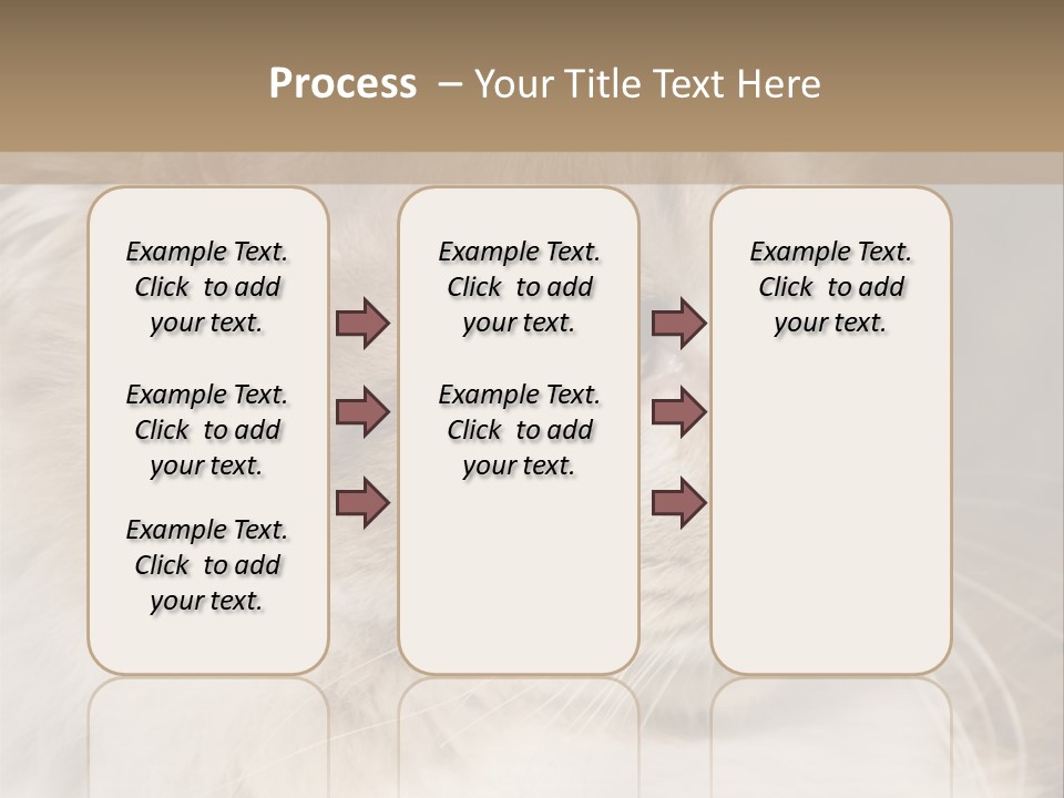 A Brown And White Cat Is Looking At Something PowerPoint Template