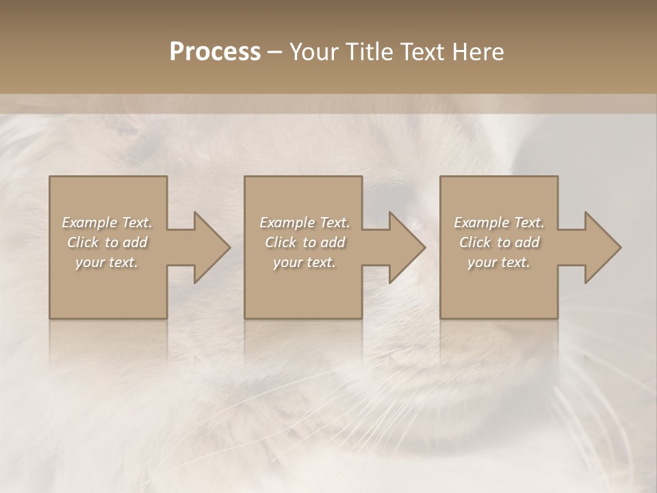 A Brown And White Cat Is Looking At Something PowerPoint Template