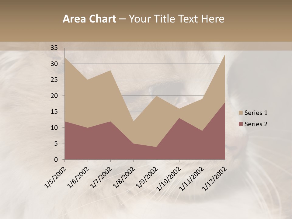 A Brown And White Cat Is Looking At Something PowerPoint Template