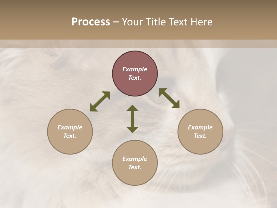 A Brown And White Cat Is Looking At Something PowerPoint Template