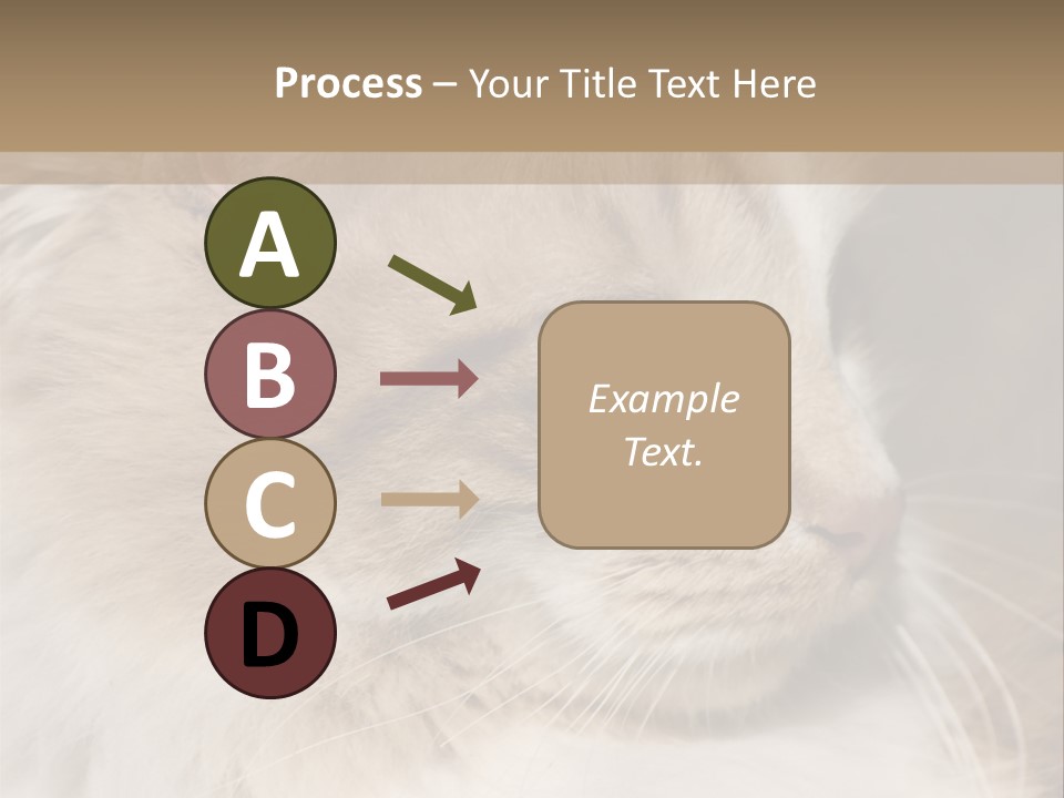 A Brown And White Cat Is Looking At Something PowerPoint Template