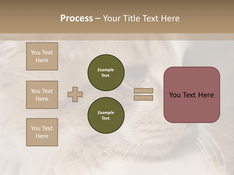 A Brown And White Cat Is Looking At Something PowerPoint Template