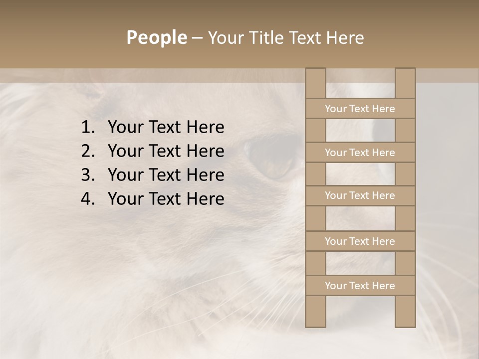 A Brown And White Cat Is Looking At Something PowerPoint Template