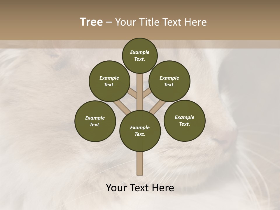 A Brown And White Cat Is Looking At Something PowerPoint Template