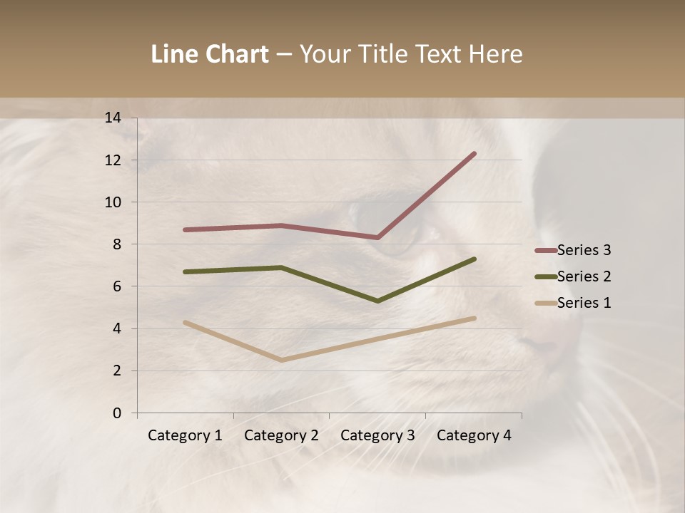 A Brown And White Cat Is Looking At Something PowerPoint Template