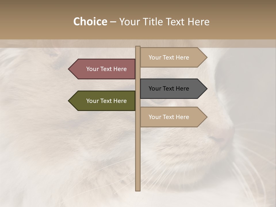 A Brown And White Cat Is Looking At Something PowerPoint Template