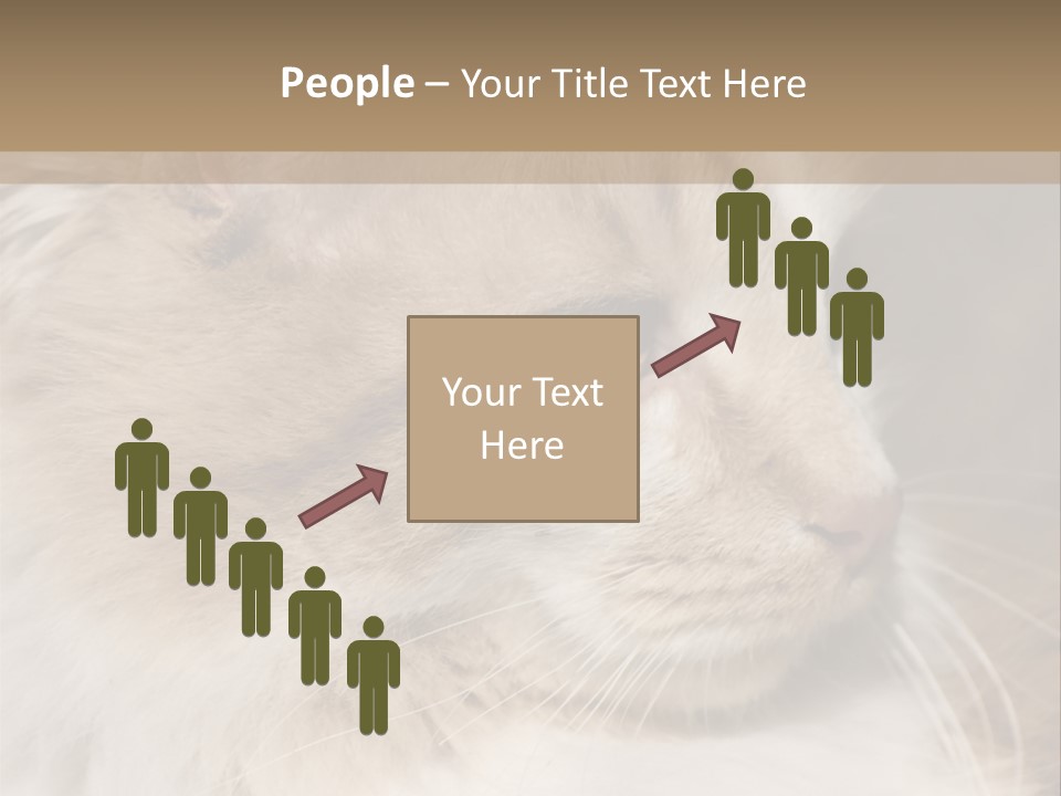 A Brown And White Cat Is Looking At Something PowerPoint Template