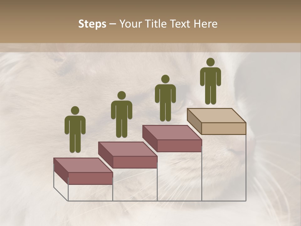 A Brown And White Cat Is Looking At Something PowerPoint Template