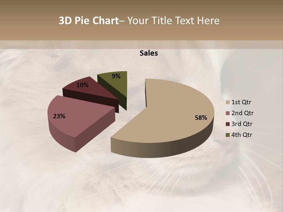 A Brown And White Cat Is Looking At Something PowerPoint Template