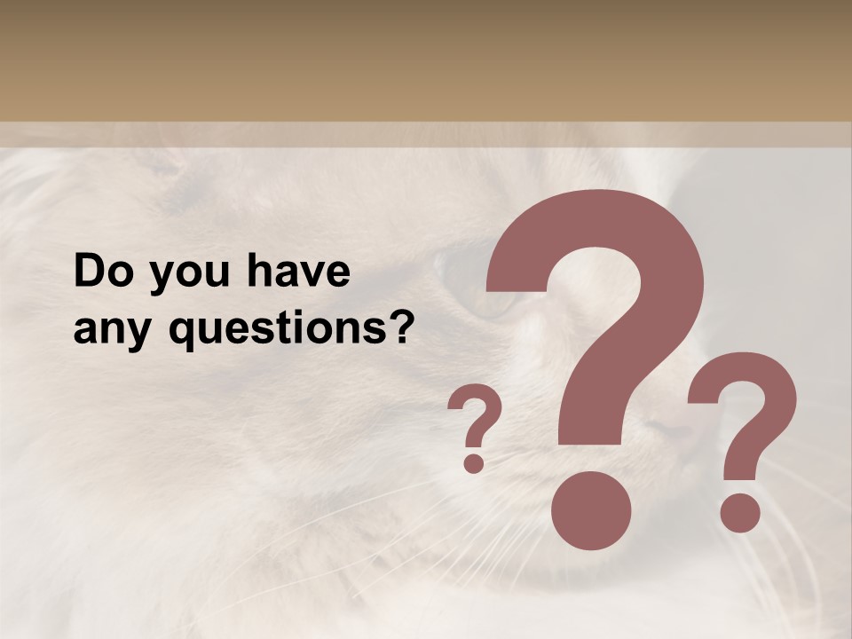 A Brown And White Cat Is Looking At Something PowerPoint Template
