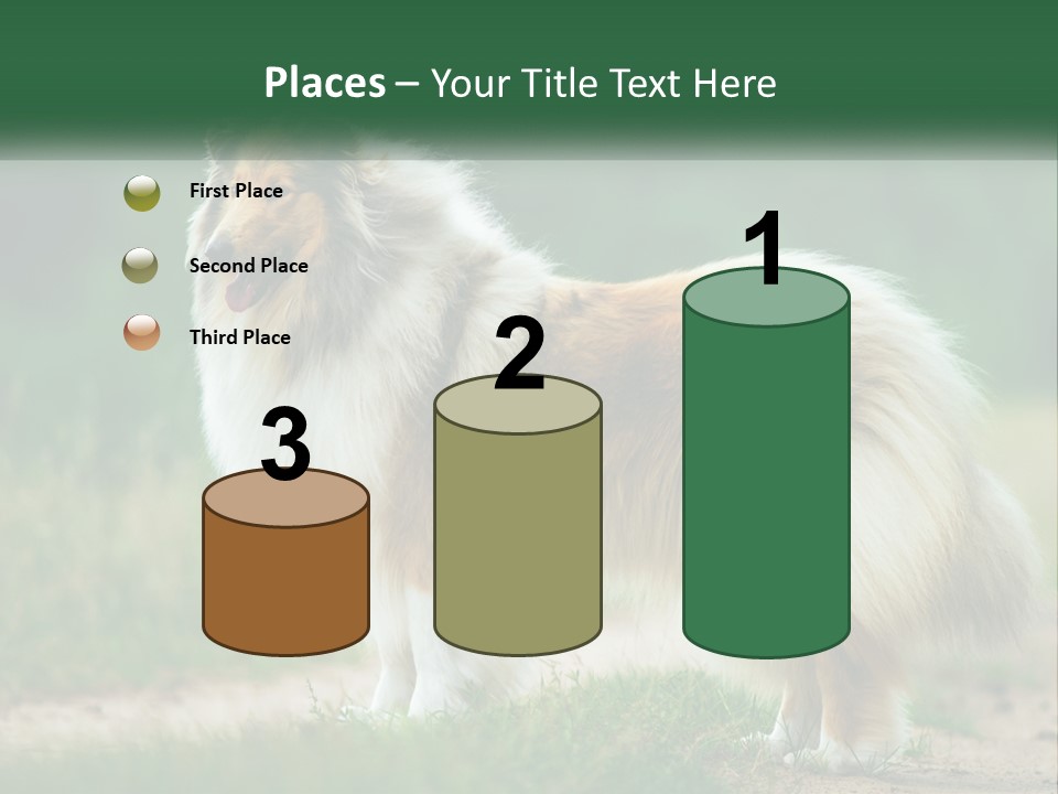 A Brown And White Dog Standing On A Dirt Road PowerPoint Template