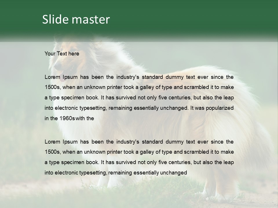 A Brown And White Dog Standing On A Dirt Road PowerPoint Template