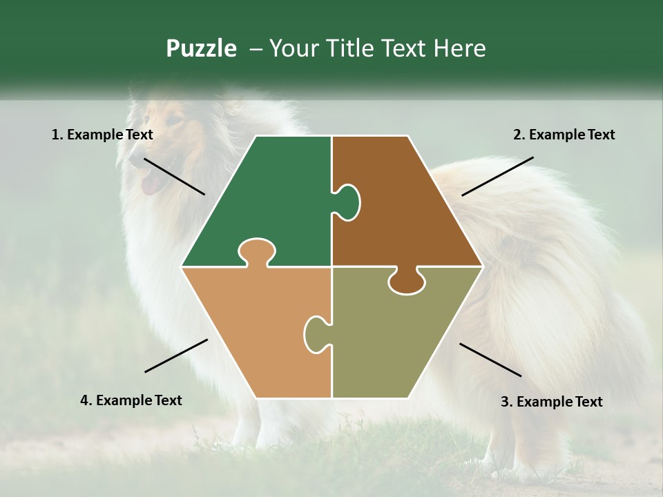 A Brown And White Dog Standing On A Dirt Road PowerPoint Template