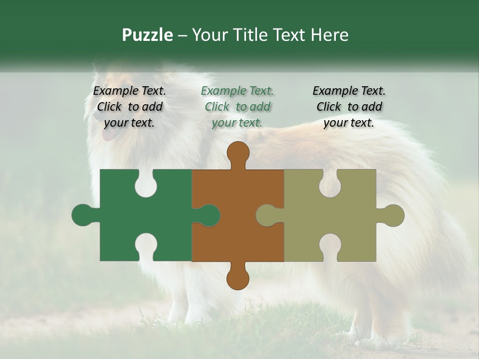 A Brown And White Dog Standing On A Dirt Road PowerPoint Template