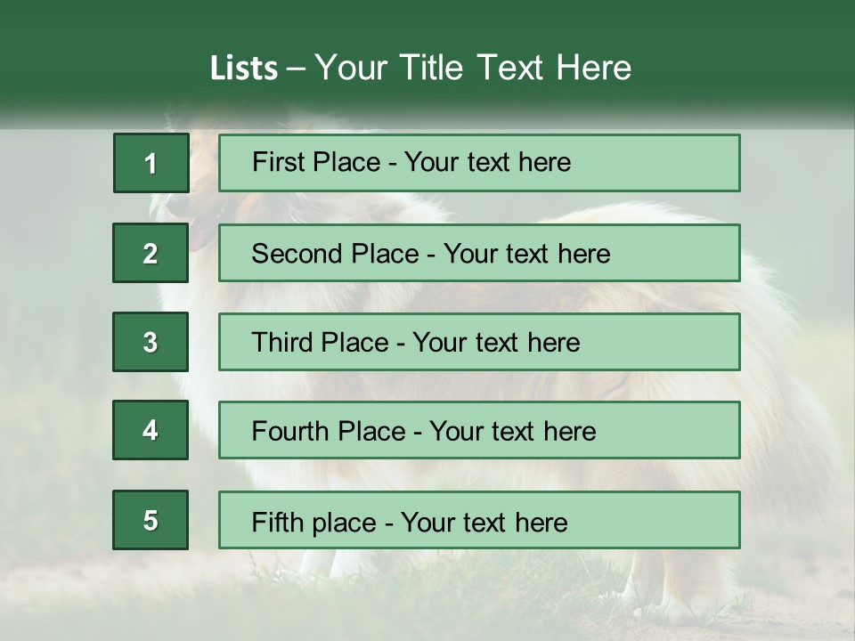 A Brown And White Dog Standing On A Dirt Road PowerPoint Template