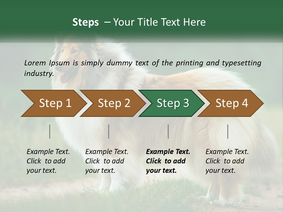 A Brown And White Dog Standing On A Dirt Road PowerPoint Template