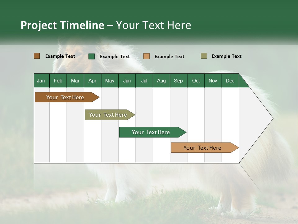 A Brown And White Dog Standing On A Dirt Road PowerPoint Template