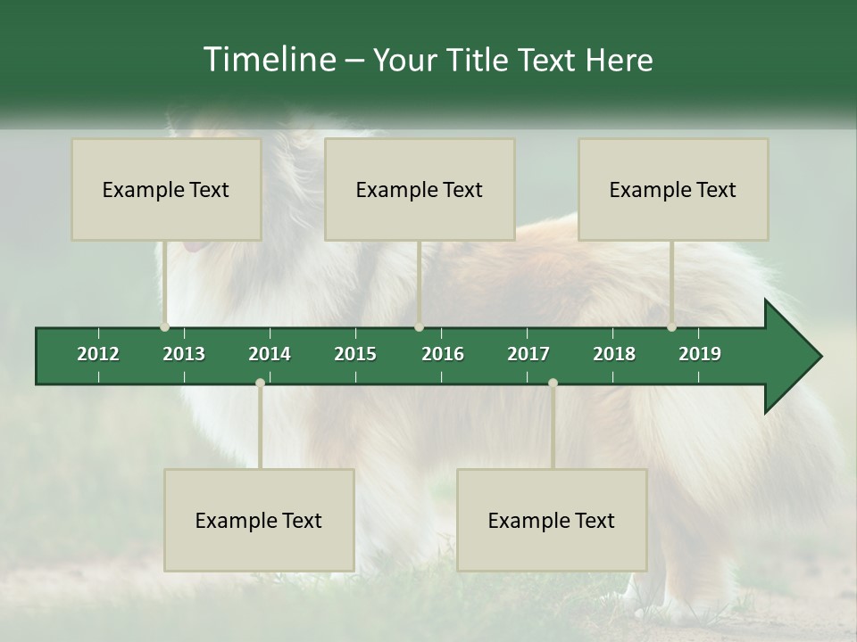 A Brown And White Dog Standing On A Dirt Road PowerPoint Template