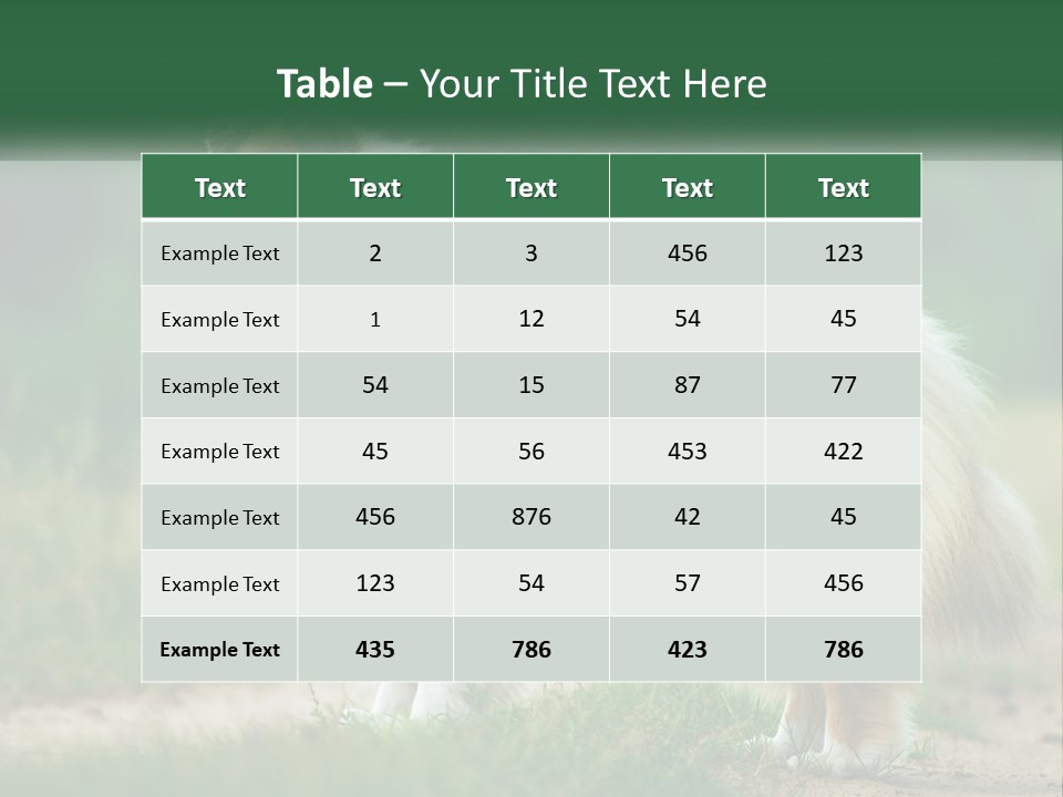 A Brown And White Dog Standing On A Dirt Road PowerPoint Template