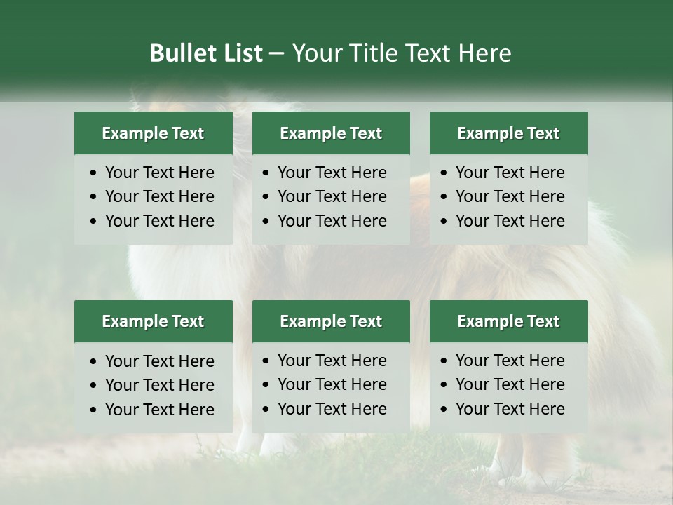 A Brown And White Dog Standing On A Dirt Road PowerPoint Template