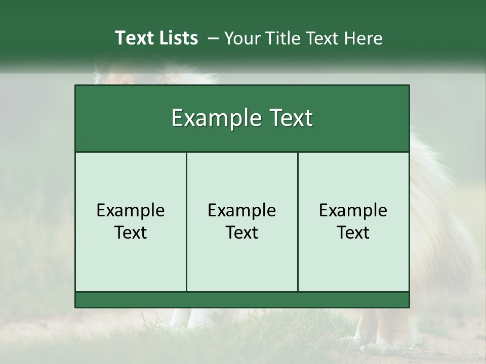 A Brown And White Dog Standing On A Dirt Road PowerPoint Template