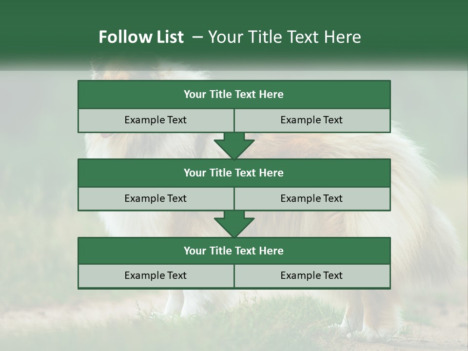 A Brown And White Dog Standing On A Dirt Road PowerPoint Template