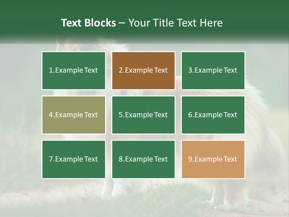 A Brown And White Dog Standing On A Dirt Road PowerPoint Template