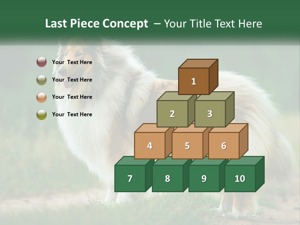 A Brown And White Dog Standing On A Dirt Road PowerPoint Template