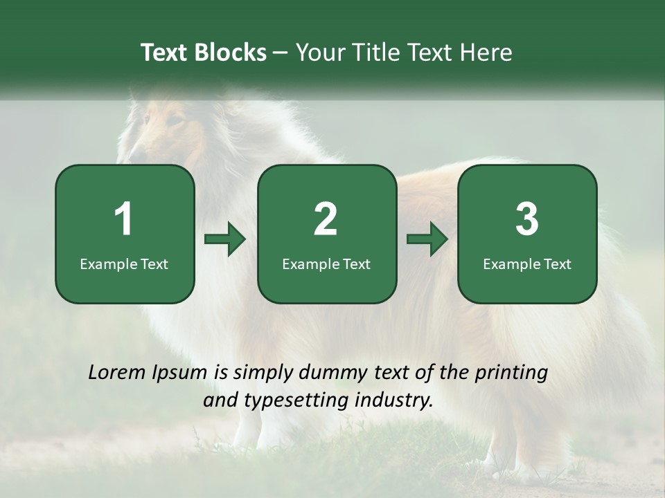A Brown And White Dog Standing On A Dirt Road PowerPoint Template