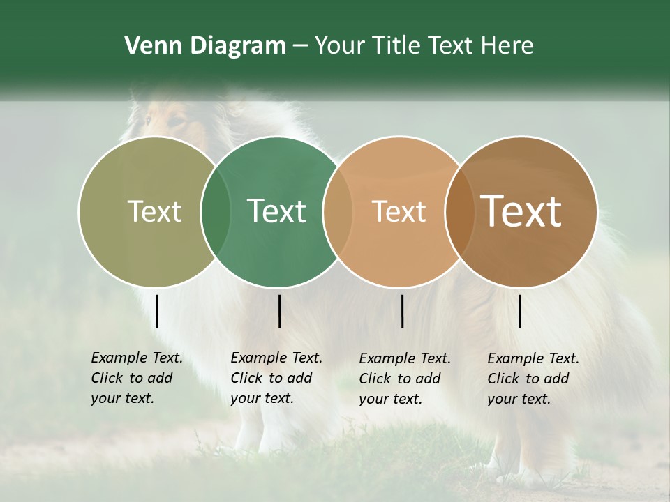 A Brown And White Dog Standing On A Dirt Road PowerPoint Template